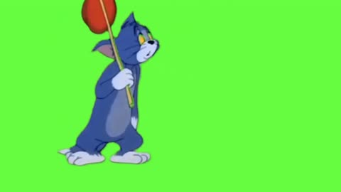 tom and jerry funny carttons