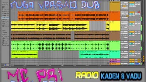MC PRI & DJ KADEN FUGA VERSÃO DUB