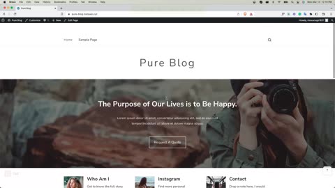 Pure Blog WordPress Theme Setup