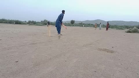 A Cricket match