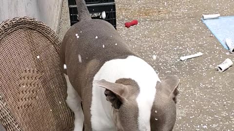 Hail in Burbank, California