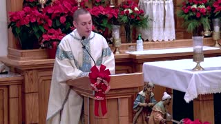 Queen and Mother of God - Jan 01 - Homily - Fr Terrance