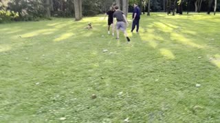 fight breaks out in a public park
