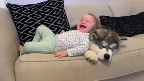 Bonding for Life: Baby and Puppy's Heartwarming First Meeting