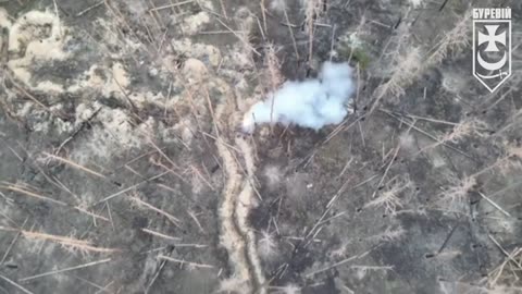 The unmanned aerial vehicles of the "Burevestnik" brigade are attacking Russian