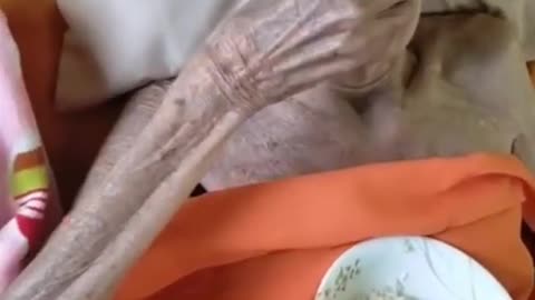 THE OLDEST WOMAN IN THE WORLD!! 399YEARS!!??