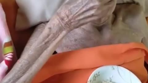 oldest human in the world 399 years old alive viral video ⧸⧸ Hottest News