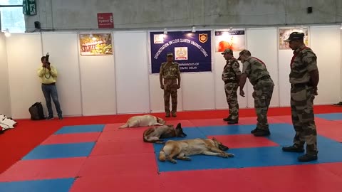 CISF demonstrations of Dog Squads