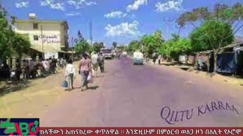 ሐምሌ 7፣ 2024 ONM-ABO እለታዊ የኦሮሞ ነፃነት ሰራዊትና የኦሮሚያ ውሎ!