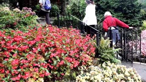 Beautiful Flower Garden in Canada, The Butchart Gardens-2