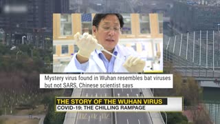 WION Wideangle: The story of the Wuhan Virus | WION News | COVID-19 Pandemic