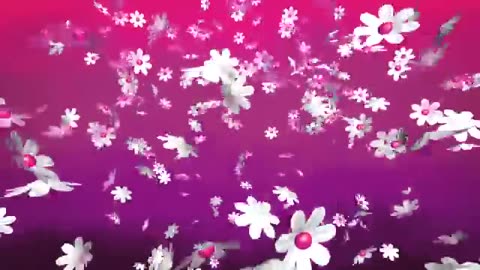 Flowers Background Loop - Motion Graphics, Animated Background, Copyright Free