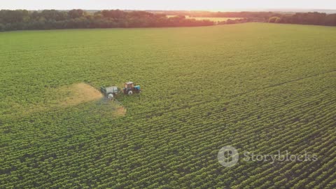 The Silent Killer: Parkinson's and the Weed Killer Controversy