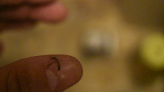 Small Caterpillar