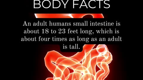 Astonishing Human Body Discoveries: Revealing Facts