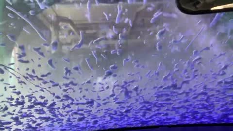 Rapid Wash Express Car Wash (Inside View)