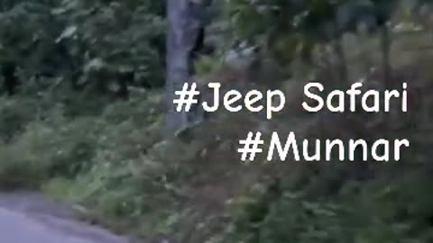 Jeep Safari @ Munnar India