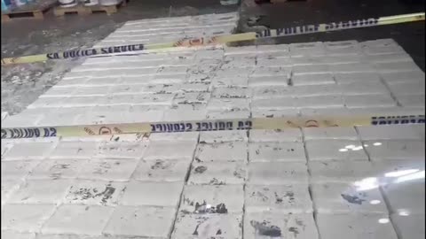 Police make a R70million cocaine bust at Durban Harbour