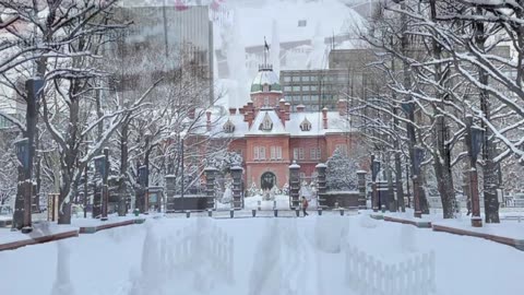#Snowfall#WinterWonderland#SnowyScene#SnowyDays#SnowyVibes#WinterMagic#SnowyLandscape#Japan#Hokkaido
