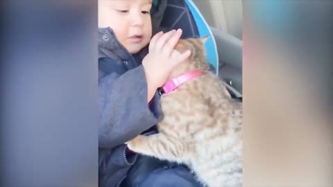 Baby and Cats Playing Together funny Moments