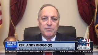 Rep Andy Biggs: Joe Biden’s only priority has been to destroy the country.