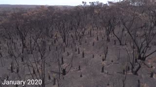 Western River Refuge on Kangaroo Island - Australian Wildlife Conservancy