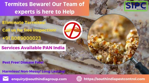 Termite Control in Delhi