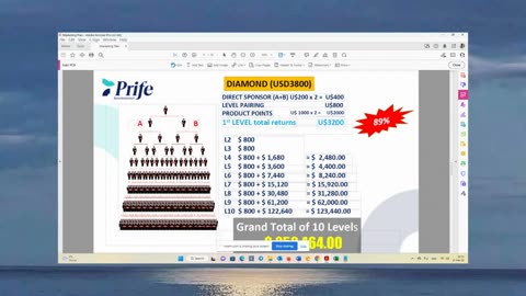 Prife iTeraCare Devices Income Plan For USA Prices