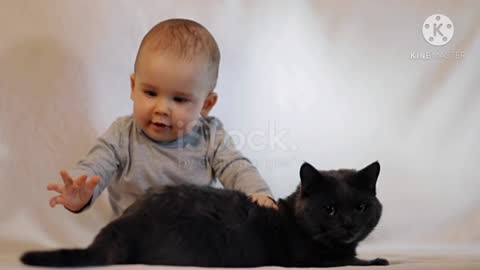Baby and cat playing together