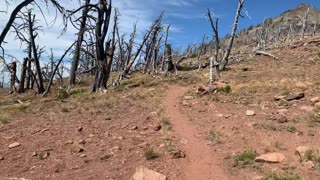 Eastern Oregon – Harsh Alpine Environment on the Side of a Mountain