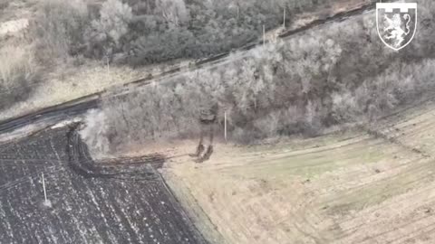 Ukrainian Forces Blow Up Russian Tank Hidden Among Trees