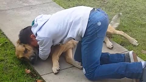 Dogs and Owners Reunite After Years😍