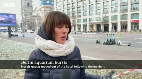 Giant Berlin hotel aquarium with 1,500 fish explodes - BBC News