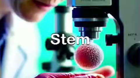 stem cell theripy