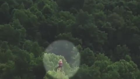 Video shows an 83-year-old woman being airlifted from a roof to escape flood waters in Kentucky