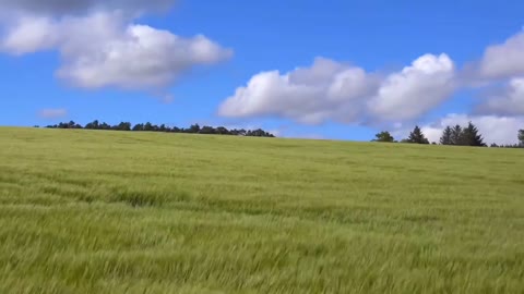 He stood there, head back, framed against the blue sky.