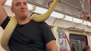 Man Takes Pet Snake On Toronto Train