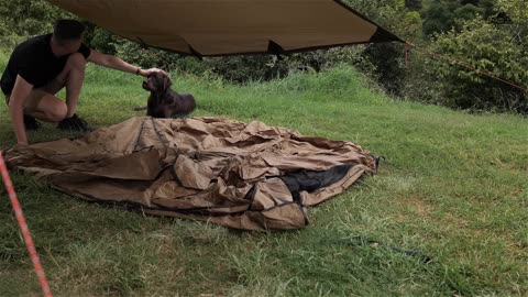 Relaxing SOLO camping with rain forest mountain views { gloomy weather, cosy shelter, rain ASMR }