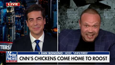 Bongino Brutally Mocks CNN's Coffee Boy Brian Stelter