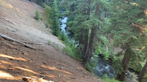 Central Oregon - Gorgeous Creek at Base of Steep Forested Hillside