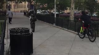 Crazy Dirt Bike Balance