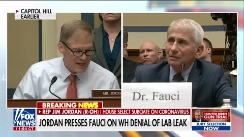 Lisa Boothe eviscerates Fauci_ 'You are a liar and a terrible person'