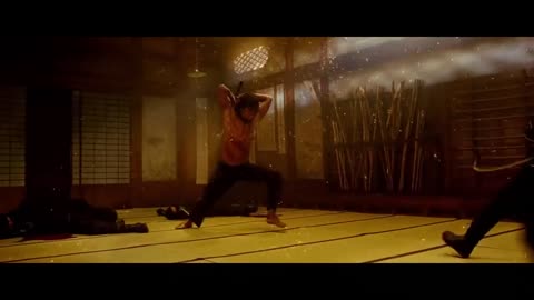 Ninja Assassin _Ninja Vs Ninja Dead sward Fighting scene in Hindi movie clips