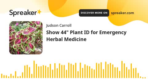 Show 44: Plant ID for Emergency Herbal Medicine (part 3 of 3)