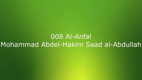 008 Al-Anfal - Mohammad Abdel-Hakim Saad al-Abdullah