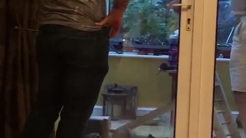Guy Gives Boomerang Ferret a Playful Toss