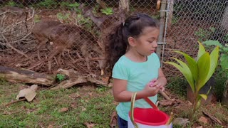 Feeding Deer and Goat