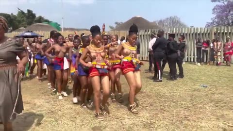 Trending: The Zulu Dance Festival, In South Africa