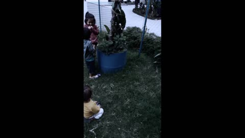 Children playing with great fun