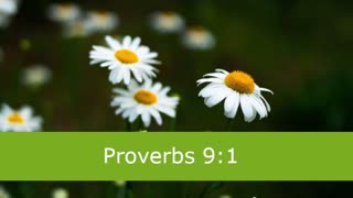 1 Minute -- Proverbs 9 Devotional -- March 9, 2023